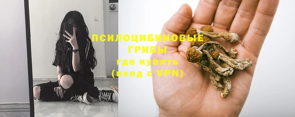 шишки Новодвинск